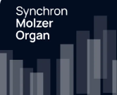 VSL Synchron Molzer Organ